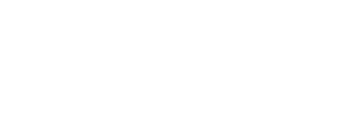 Shopify Plus Partner badge